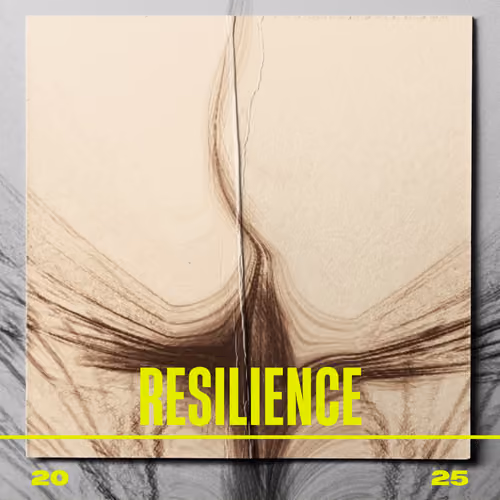 RESILIENCE 2025 #15