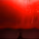 493