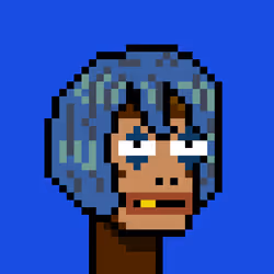 4049