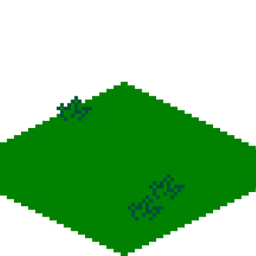Wild Lawn
