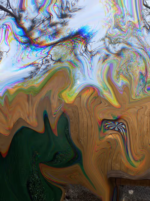 Item #16 Media