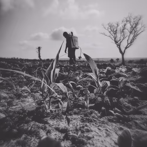 Once upon a time in the vine.