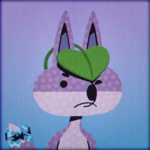 FOXX_01993