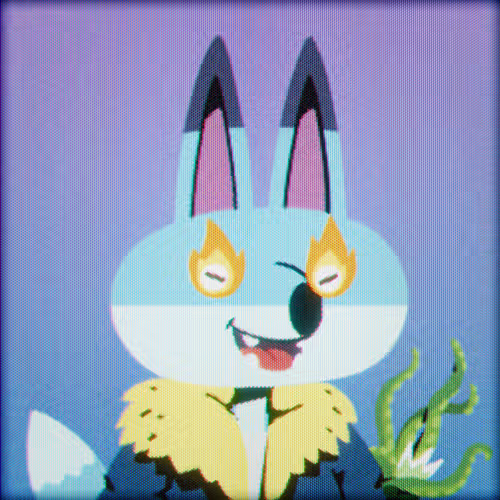 FOXX_02244