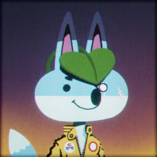 FOXX_00850