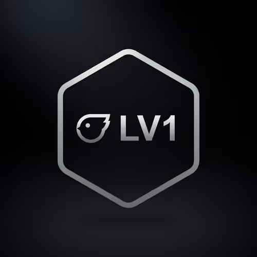 Freee User Level 1 Badge