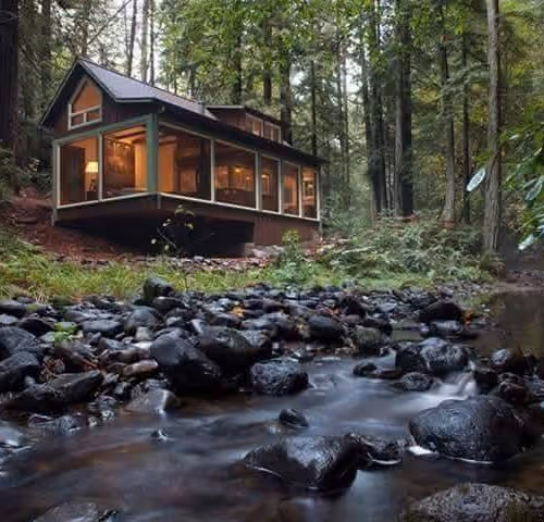 A House In The Wild