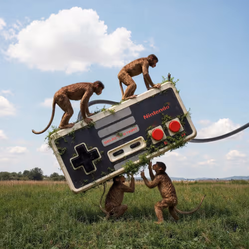 Monkey See, Monkey NES-talgic!