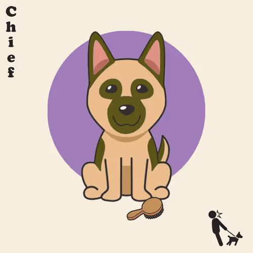 Nftdogecat
