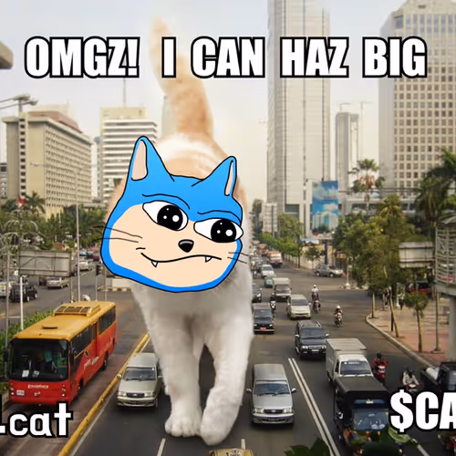lolcat