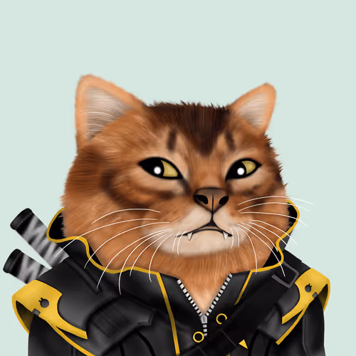 Catzwar
