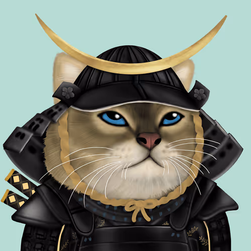 Catzwar