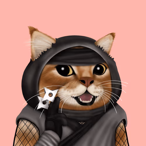 Catzwar