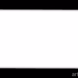 VID-20241020-WA0013(1)