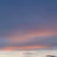 Rodeo posts