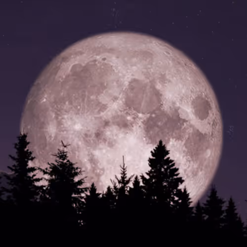 Moonpay Testing