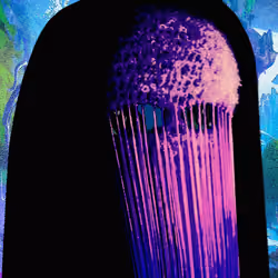 441