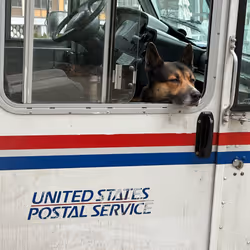 35445