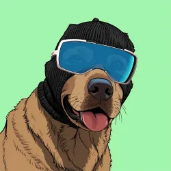 Masked Dog #76