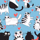 cute cat