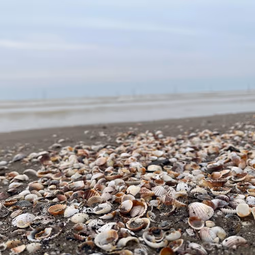 Tranquility Beach