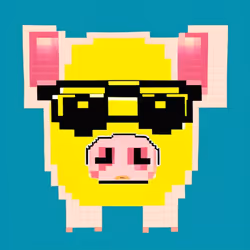 Zimba Pig 9