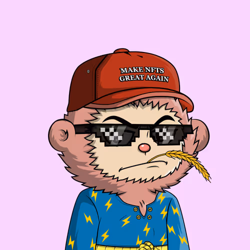 Onchain Buume