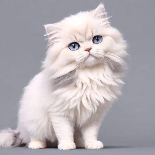 cute Mister Miggles #1