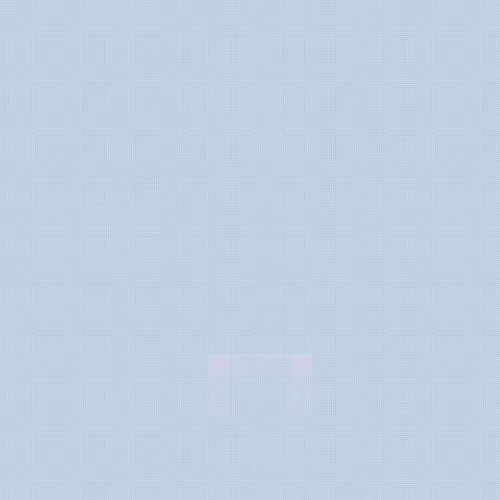 Punks In Fog