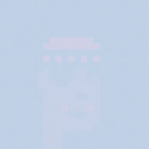 Punks In Fog