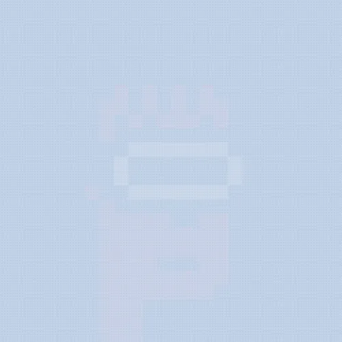Punks In Fog