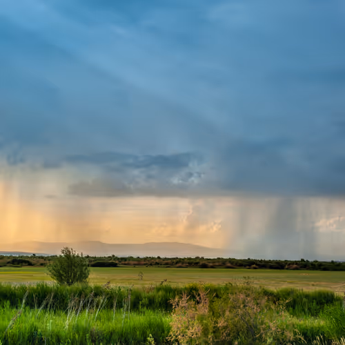 Rain 233