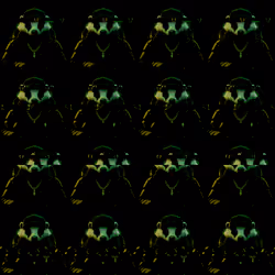 973