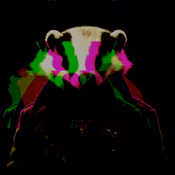 515