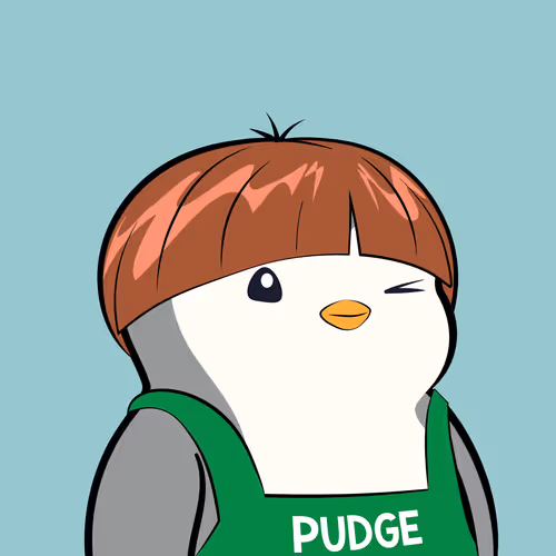 Pudgy Penguin #240
