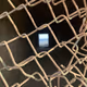 Rodeo posts