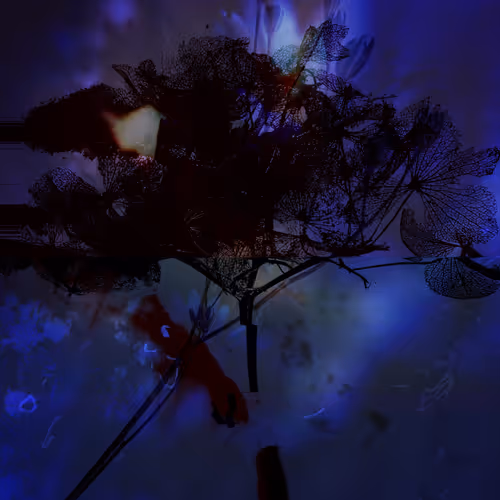 Of Blood Tears