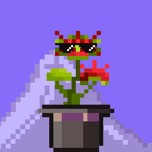 Neged The Floral Hat 2 25
