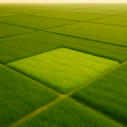 Green Tokenized World