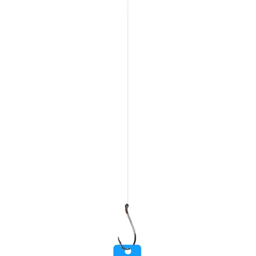 Item #67 Media