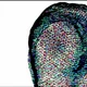System.out.println ("signal received :: all forms tuned in colors")