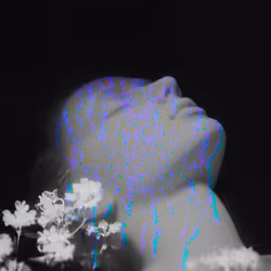 28