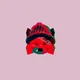FoxWifHat