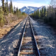 CRAZY TRAIN
