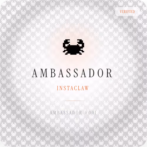 Instaclaw Ambassador 370706066