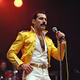 Freddy Mercury proud