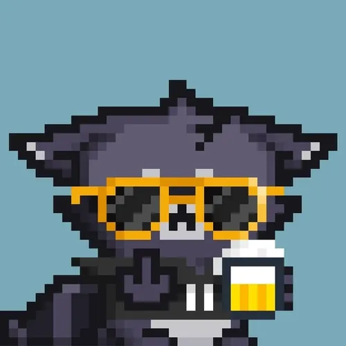 Pixel Racoons 1