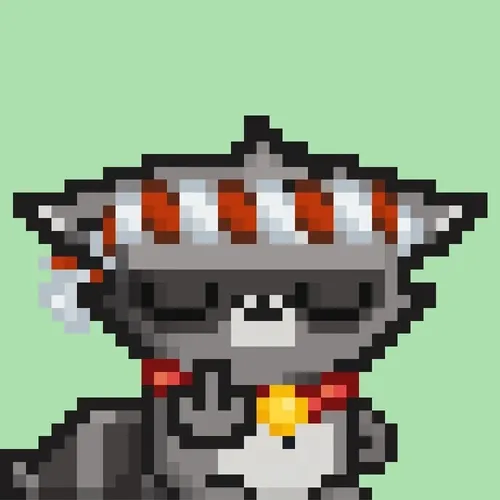 Pixel Racoons 1