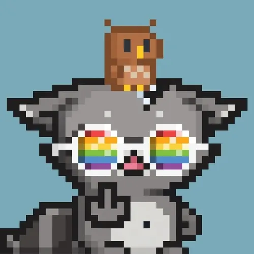 Pixel Racoons 1
