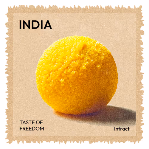 Taste Of Freedom 1